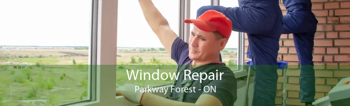 Window Repair Parkway Forest - ON