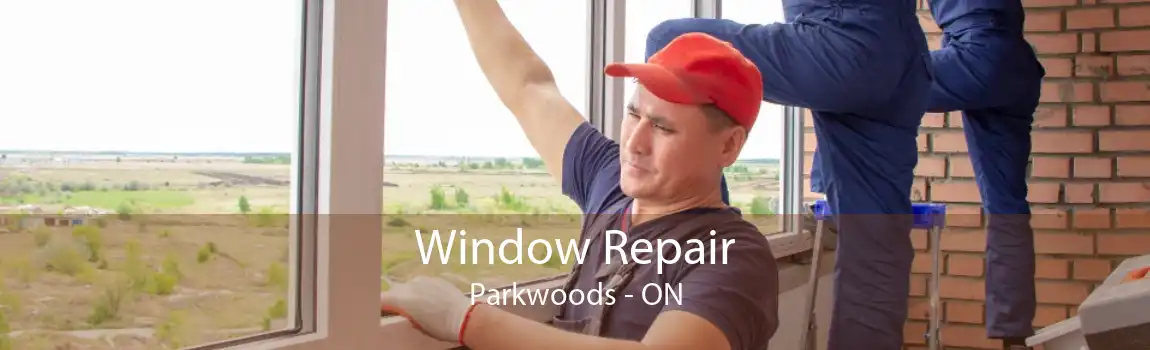 Window Repair Parkwoods - ON