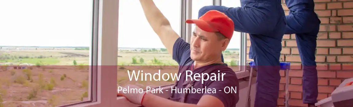 Window Repair Pelmo Park - Humberlea - ON