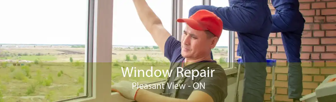 Window Repair Pleasant View - ON