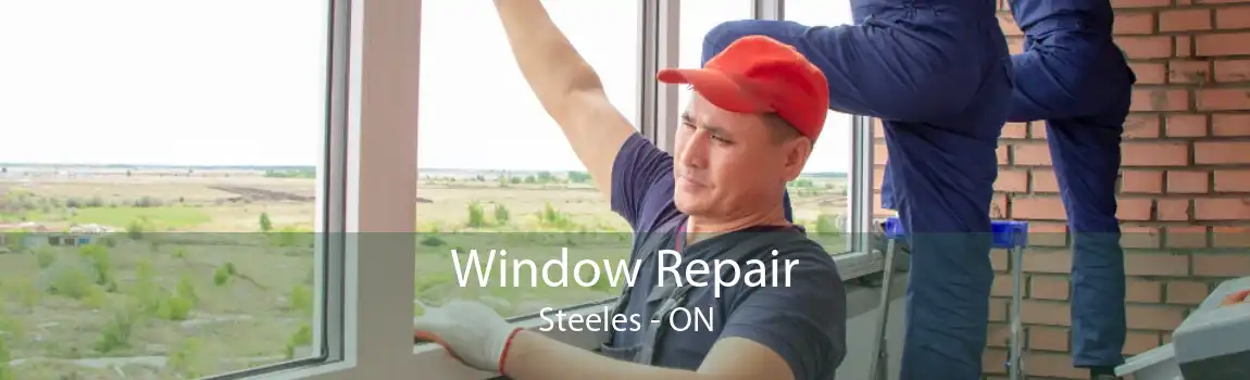 Window Repair Steeles - ON