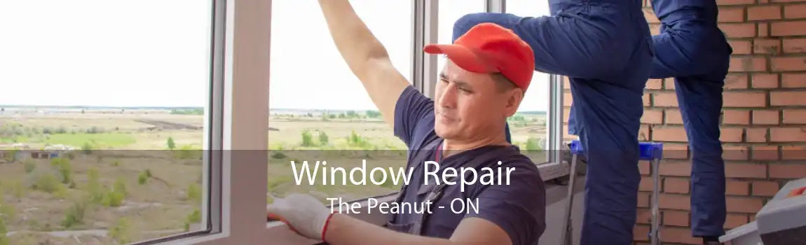 Window Repair The Peanut - ON