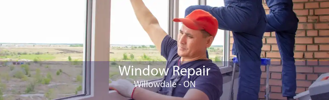 Window Repair Willowdale - ON