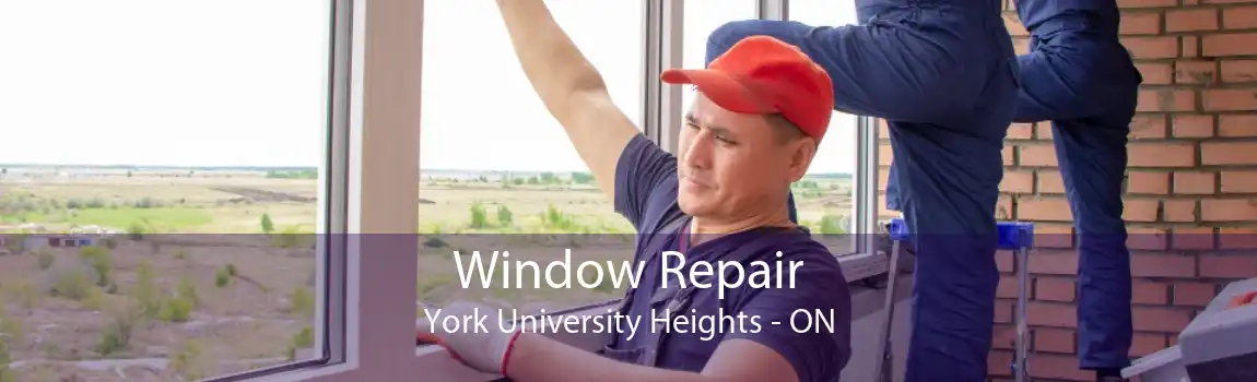 Window Repair York University Heights - ON