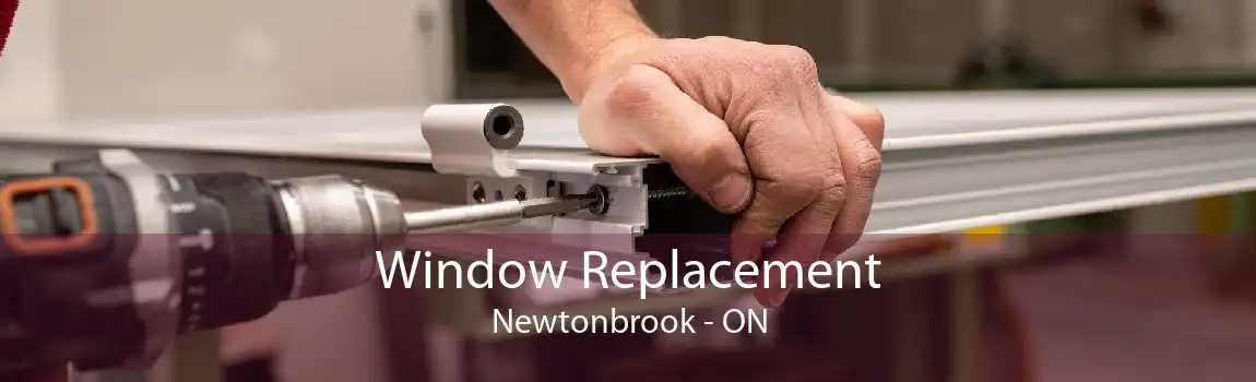 Window Replacement Newtonbrook - ON
