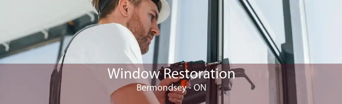 Window Restoration Bermondsey - ON