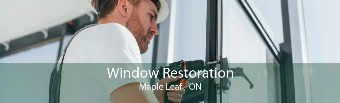 Window Restoration Maple Leaf - ON