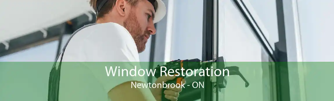 Window Restoration Newtonbrook - ON