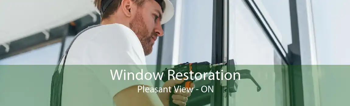 Window Restoration Pleasant View - ON