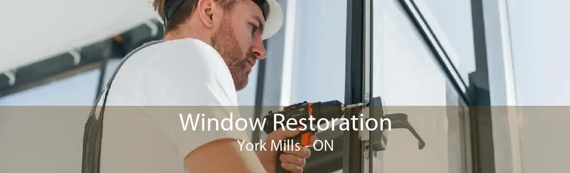 Window Restoration York Mills - ON