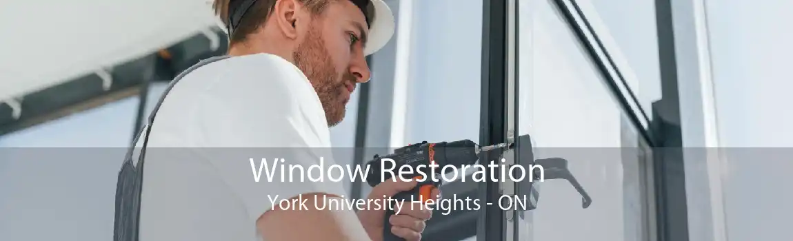 Window Restoration York University Heights - ON