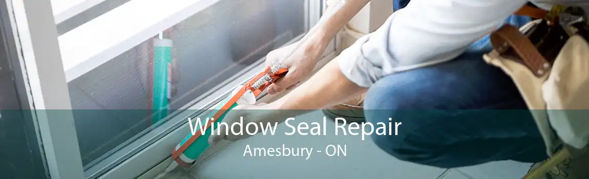Window Seal Repair Amesbury - ON
