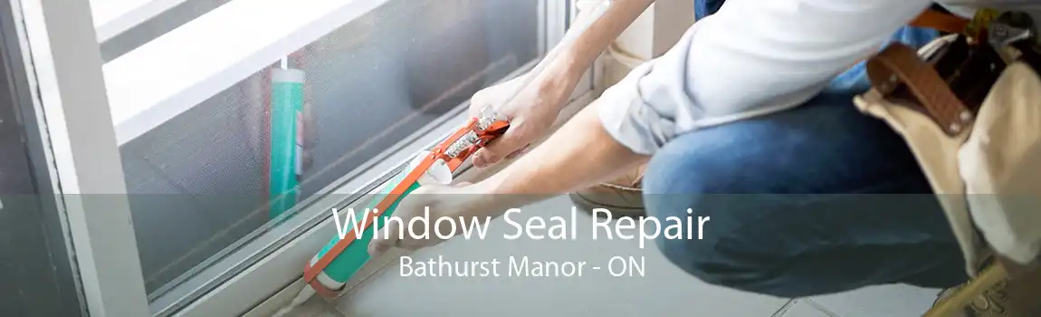 Window Seal Repair Bathurst Manor - ON