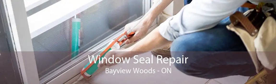 Window Seal Repair Bayview Woods - ON