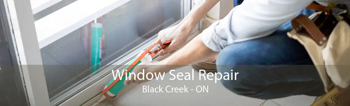 Window Seal Repair Black Creek - ON