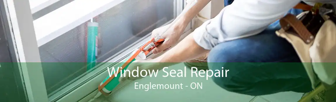 Window Seal Repair Englemount - ON