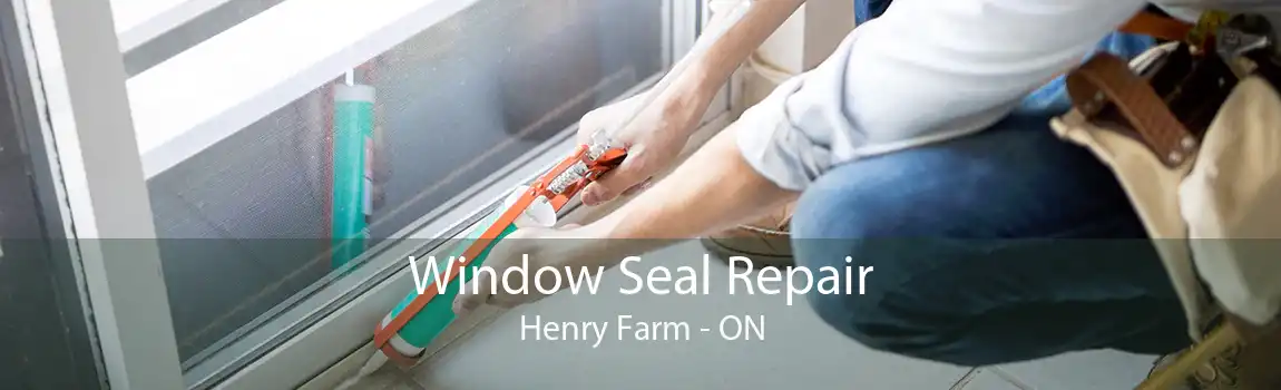 Window Seal Repair Henry Farm - ON