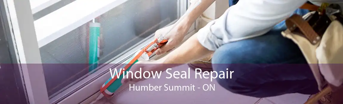 Window Seal Repair Humber Summit - ON