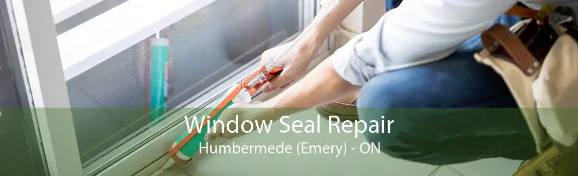 Window Seal Repair Humbermede (Emery) - ON
