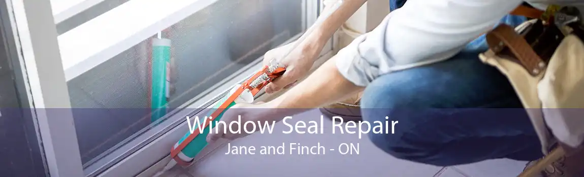 Window Seal Repair Jane and Finch - ON