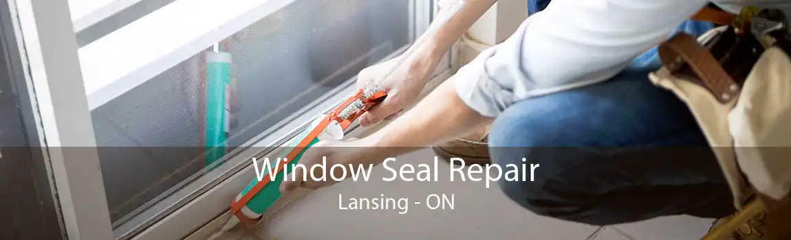 Window Seal Repair Lansing - ON