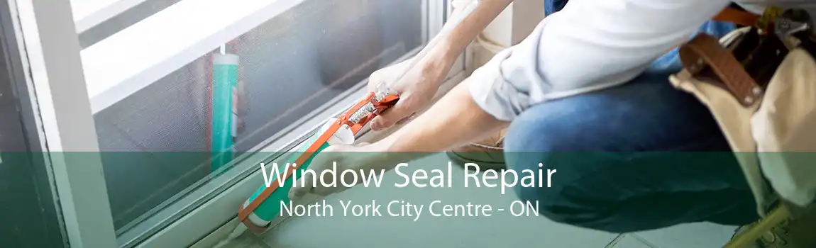 Window Seal Repair North York City Centre - ON