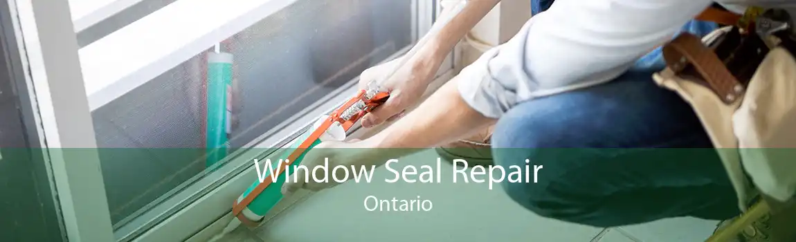 Window Seal Repair Ontario