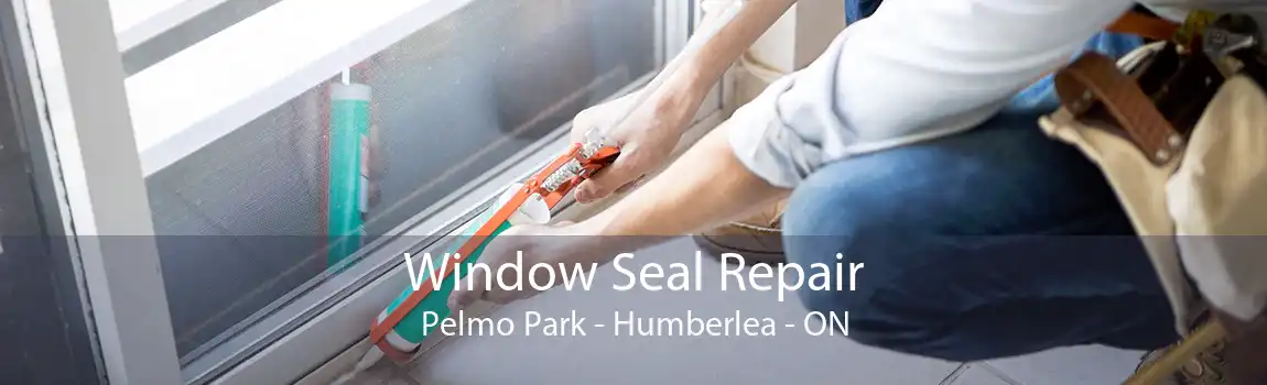 Window Seal Repair Pelmo Park - Humberlea - ON