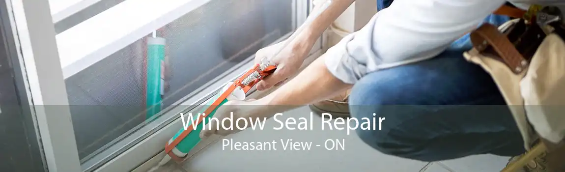 Window Seal Repair Pleasant View - ON