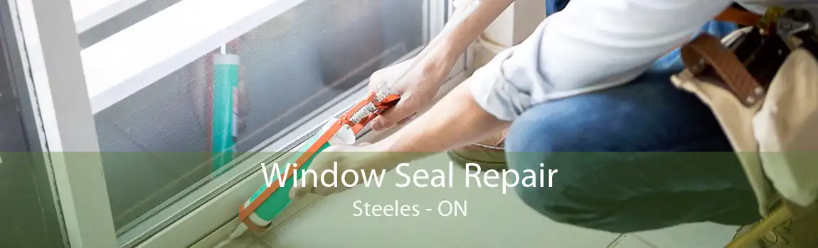 Window Seal Repair Steeles - ON