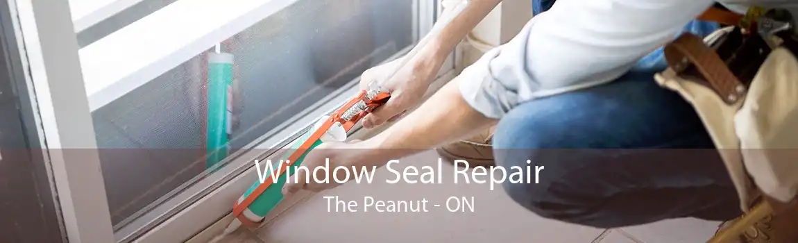 Window Seal Repair The Peanut - ON