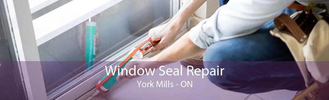 Window Seal Repair York Mills - ON
