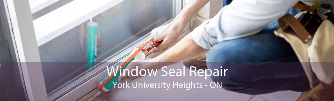 Window Seal Repair York University Heights - ON
