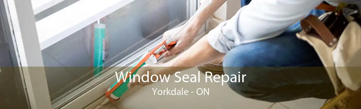 Window Seal Repair Yorkdale - ON